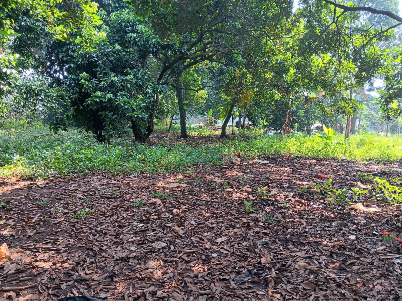 Dijual tanah 3.700 m2 , cocok u perumahan / cluster (RM)