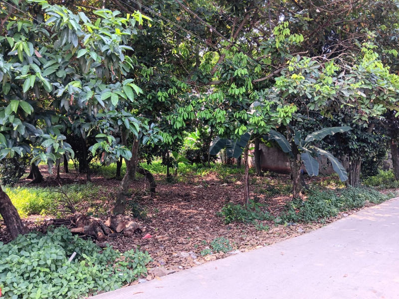 Dijual tanah 3.700 m2 , cocok u perumahan / cluster (RM)