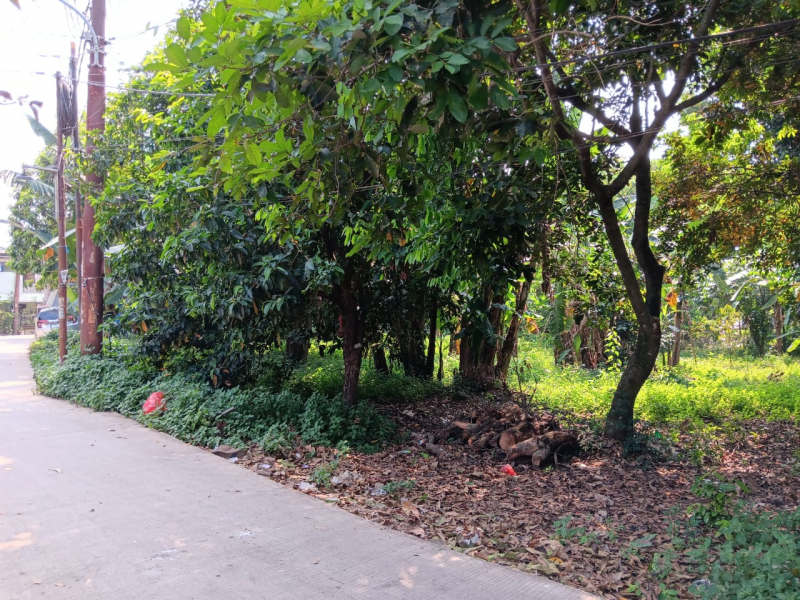 Dijual tanah 3.700 m2 , cocok u perumahan / cluster (RM)