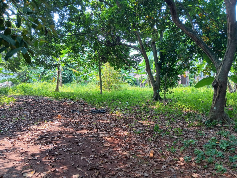 Dijual tanah 3.700 m2 , cocok u perumahan / cluster (RM)