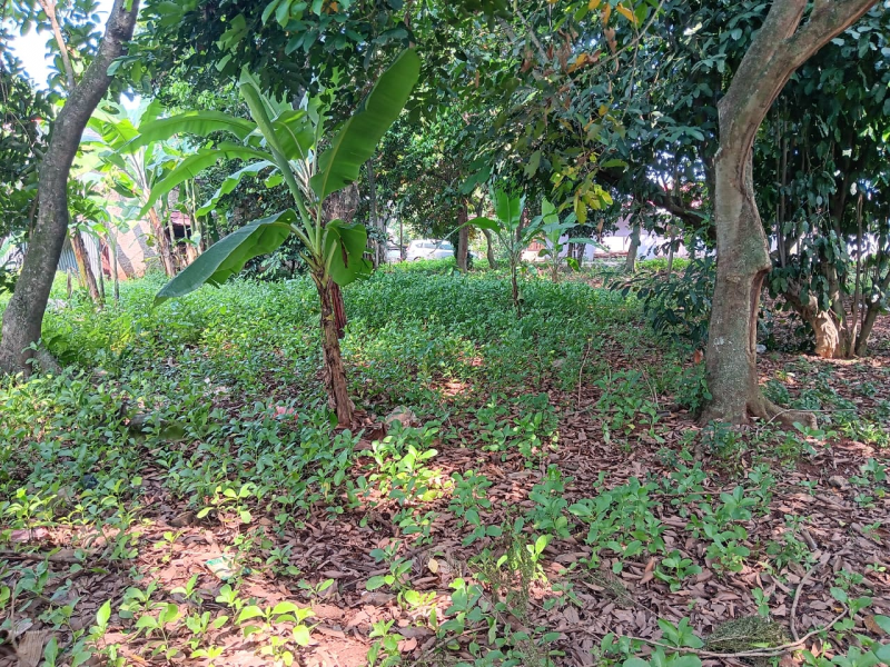 Dijual tanah 3.700 m2 , cocok u perumahan / cluster (RM)