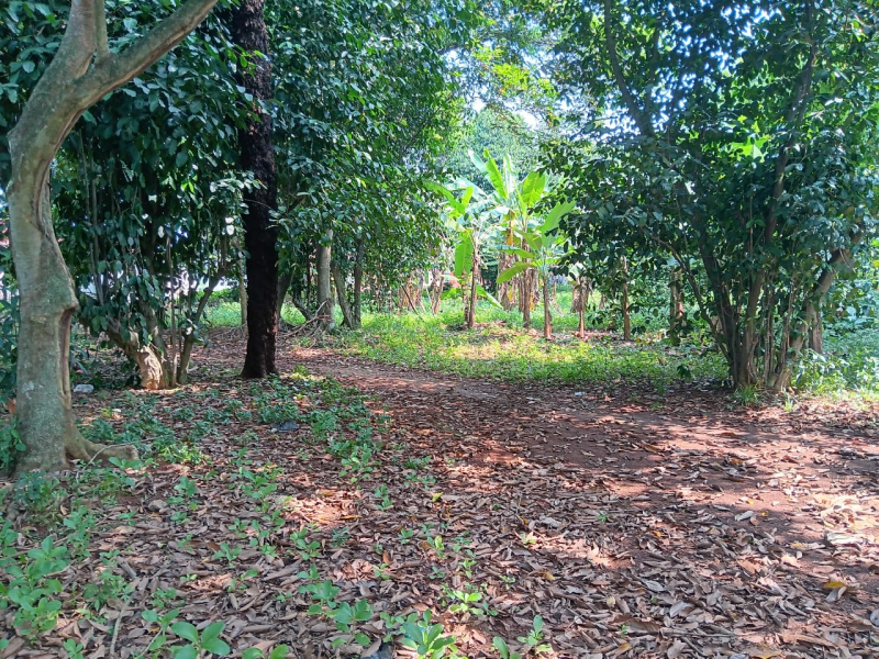 Dijual tanah 3.700 m2 , cocok u perumahan / cluster (RM)