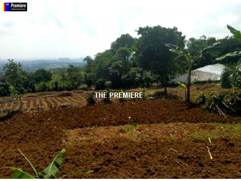 Tanah Dijual Cijayanti, Babakan Madang, Bogor, Jawa Barat, 16810