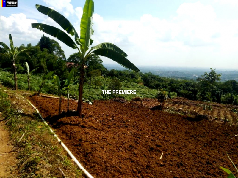 Tanah Dijual Cijayanti, Babakan Madang, Bogor, Jawa Barat, 16810